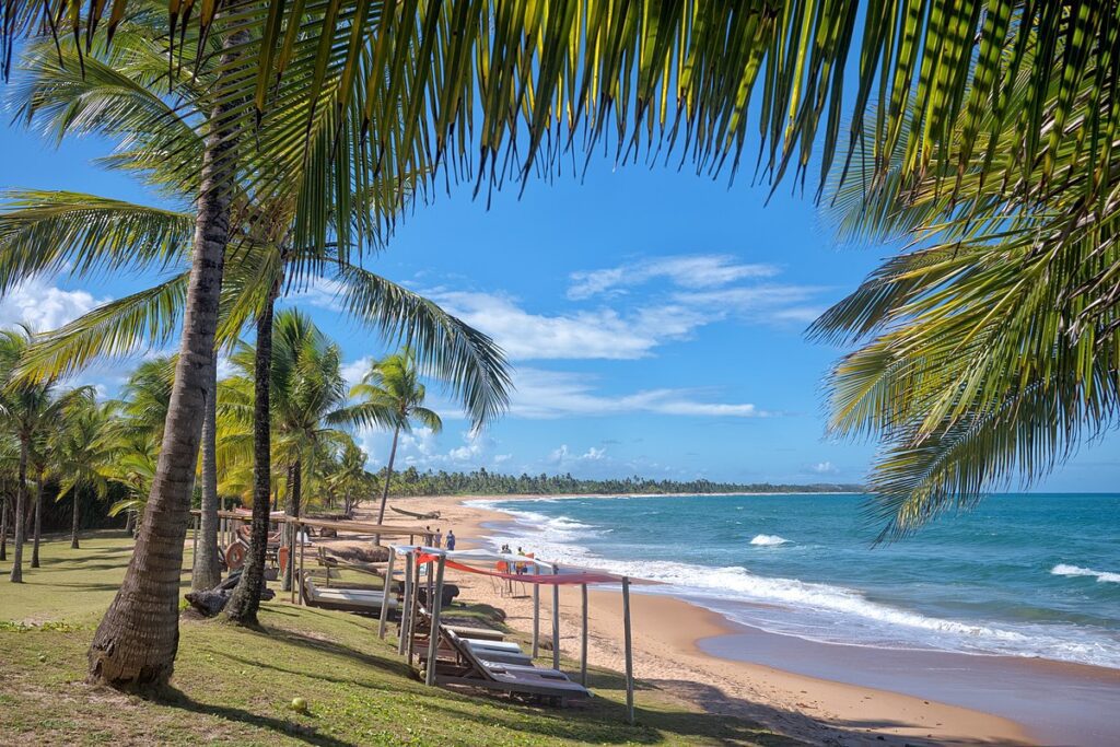 Praia com coqueiros ao longo da orla e mar com agua azul e algumas barracas ao longo da faixa de areia. Com certeza esse é um dos 10 melhores locais para férias no Nordeste.