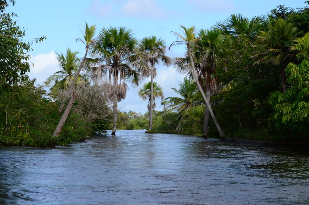 O rio é um dos principais atrativos de Barreirinhas, pois permite fazer passeios de barco, lancha ou voadeira até praias de água doce e povoados super charmosos.