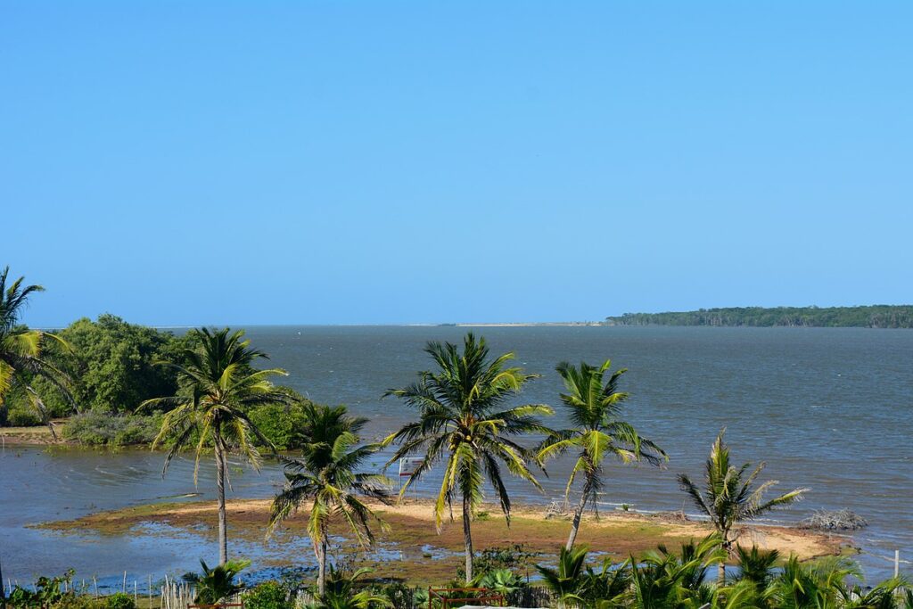 O delta é composto por mais de 70 ilhas, que abrigam uma rica biodiversidade de fauna e flora. 