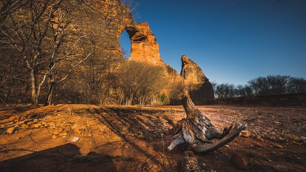 O Parque também tem uma biodiversidade impressionante, com espécies endêmicas de flora e fauna. Você pode fazer trilhas pelo parque e conhecer as cachoeiras, as grutas e os mirantes naturais. 