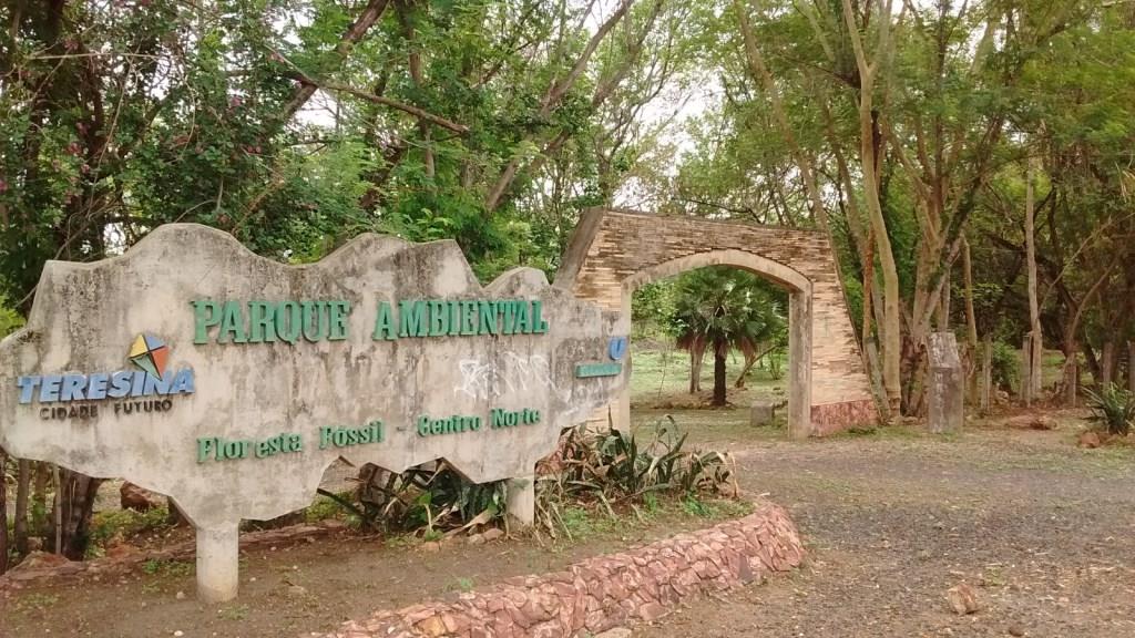 O Parque Floresta Fóssil é uma área protegida que fica na zona urbana de Teresina, na região do bairro Santa Maria da Codipi. As árvores fossilizadas estão expostas ao ar livre, em meio à vegetação típica do cerrado.