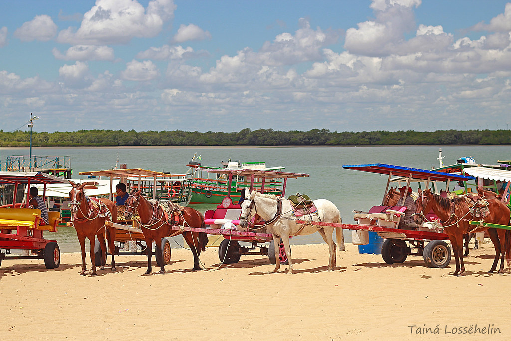 A peninsula de Galinhos tem praias desertas, dunas, salinas e manguezais, que formam um cenário deslumbrante, com passeios de barco e ate de charretes.